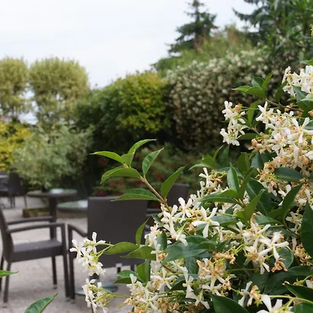 Hotell Astoria Desenzano del Garda